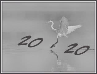 Portada calendario 2020