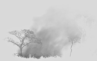 Negative B&W