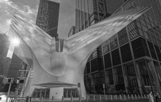Oculus Railway Station, New York city, USA