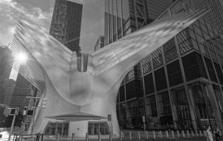 Oculus Railway Station, New York city, USA