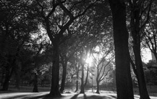 Atardecer en Central Park