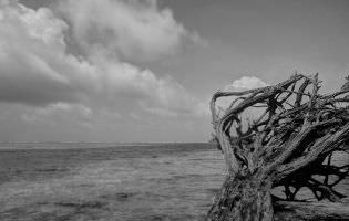 Restes d'un ouragan dans les Caraïbes