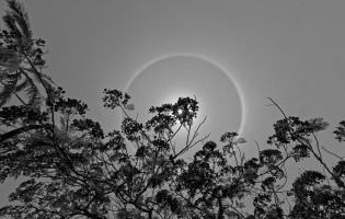 The halo, Optical phenomenon